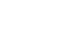 Operador Económico Autorizado (AEO)